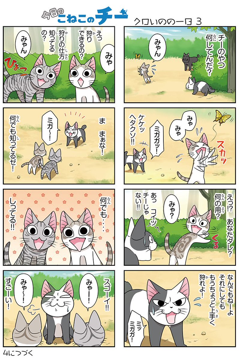 今日のこねこのチー 今日のこねこのチー