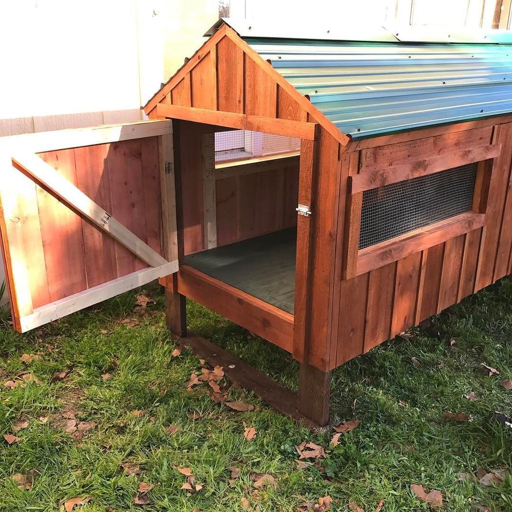 PaulRarePoultry's tweet photo. #cleanoutdoor #coop https://t.co/tIBMwguHUt