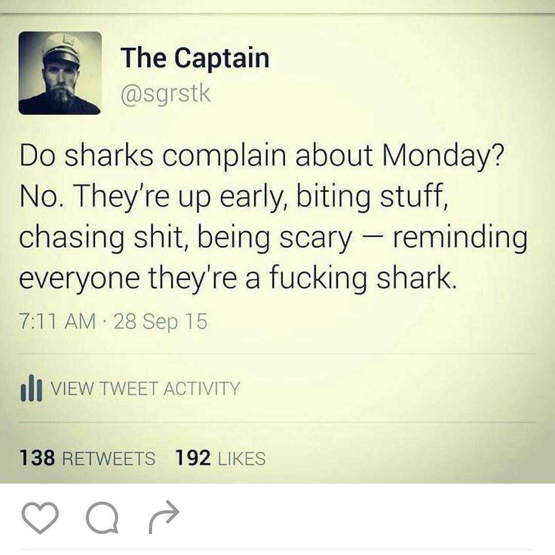 #mondays #diving #sharks