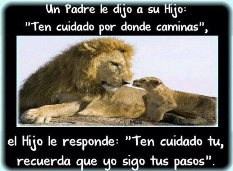 LOCAMARIAGROW's tweet photo. https://t.co/wQBInSBG4q