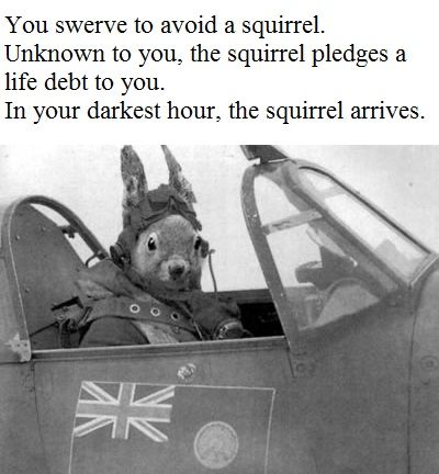 WholesomeMeme's tweet photo. https://t.co/fbSotzJLNE