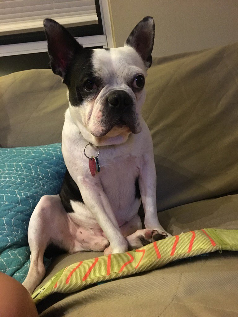 Allyson Priano tweet media