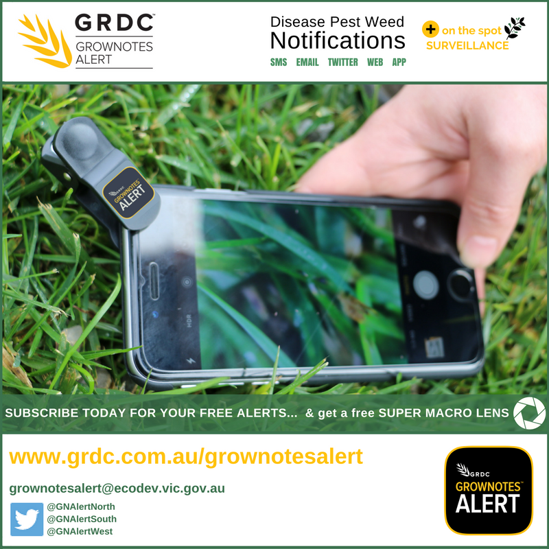 VicGovGrains's tweet photo. At the Wagga #GRDCUpdates today? Visit Lucy to find out more about eXtensionAUS @AusCropDiseases and subscribe to #GrowNotesAlert https://t.co/p7Zhqpg4K0