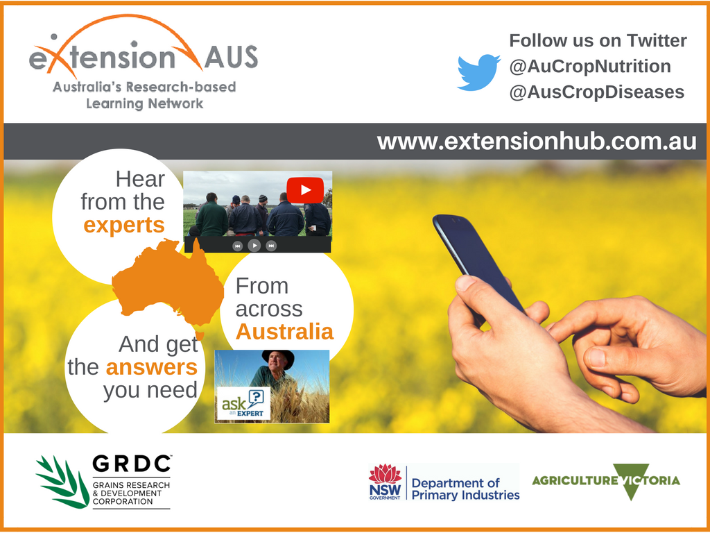 VicGovGrains's tweet photo. At the Wagga #GRDCUpdates today? Visit Lucy to find out more about eXtensionAUS @AusCropDiseases and subscribe to #GrowNotesAlert https://t.co/p7Zhqpg4K0