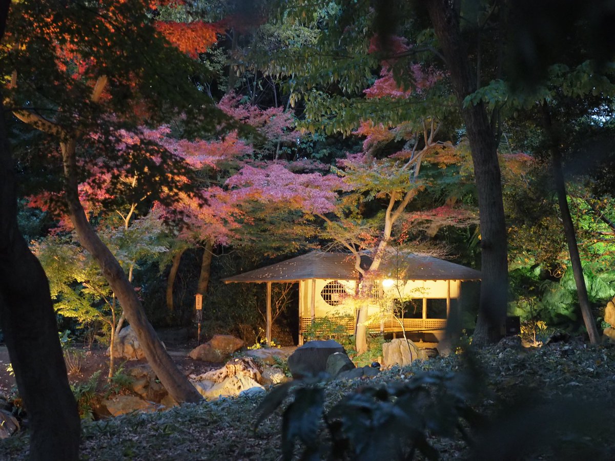 LocobeeApp's tweet image. 紅葉の六義園。
まちと旅人をつなぐ LocoBee → goo.gl/oMn5w0

#旅 #風景 #写真 #travel #beautifulview #photo #japan #LocoBee