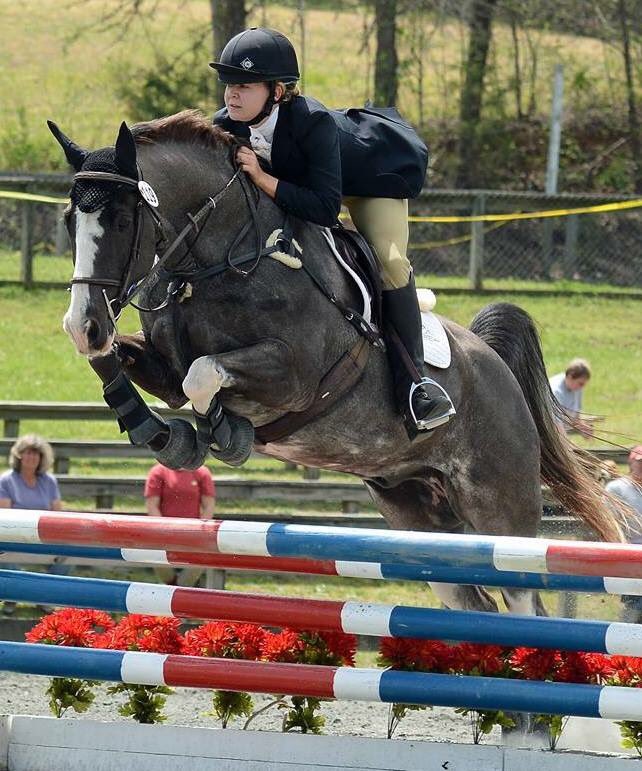 repeatthebeat's tweet photo. Children love @breyerhorses! Make plans now for #breyerfest17 @KyHorsePark @lexingtonkycom Come meet me! Repeat The Beat! https://t.co/77PCqx7M8q