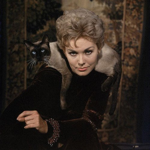 Happy Birthday, Kim Novak! Born 84 years ago today, Feb. 13,...  