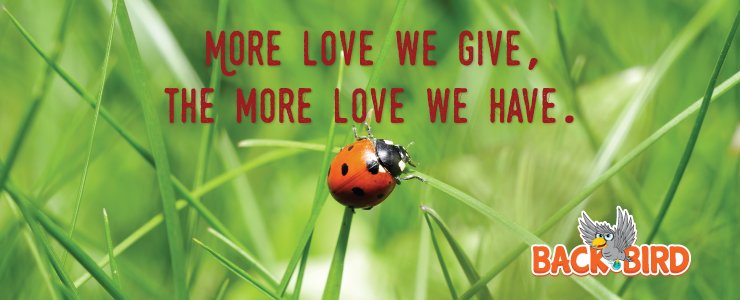 BackBirdGame's tweet image. More love we give ...
backbirdgame.com/wisdom-of-back…
facebook.com/backbirdgame
#bb #backbird #backbirdgame #game #love #wisdom #mobilegame #develop