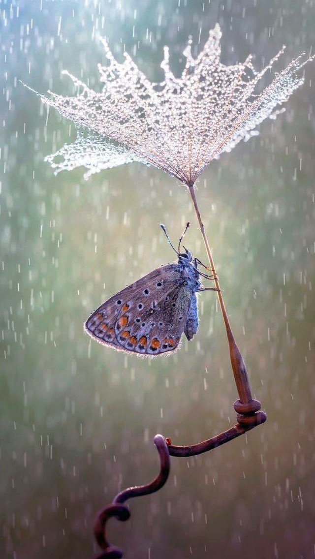 @patyie66 Hello friend! Good morning! Good evening! Good day!                       Everyone! Everyone! ✨World✨