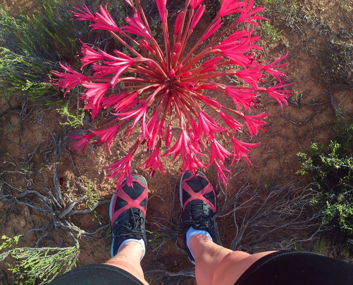 RunTheKaroo's tweet photo. This is what Karoo love looks like! #valentinesday #runthekaroo #trailrun https://t.co/mfe5LwvuAS