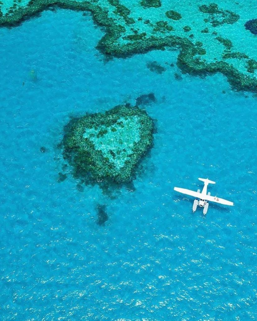 whenindoubtl0ve's tweet photo. #WhenInDoubtLove #WIDL Love is everywhere. #WhenInDoubtLove
PC// @saltywings https://t.co/ug3WerddGM https://t.co/8dPGhOWdhw