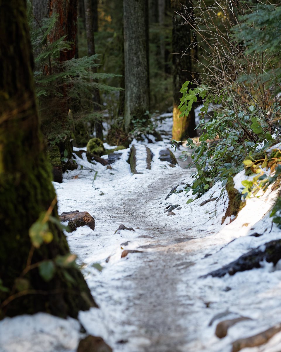 BCTrailGuides's tweet photo. Lower #mtseymour trails are running well. Still some snow and ice to deal with in places. https://t.co/CjMp0rmTI4 #trailpixels #mtb #snow https://t.co/M0XnGk2Mkx