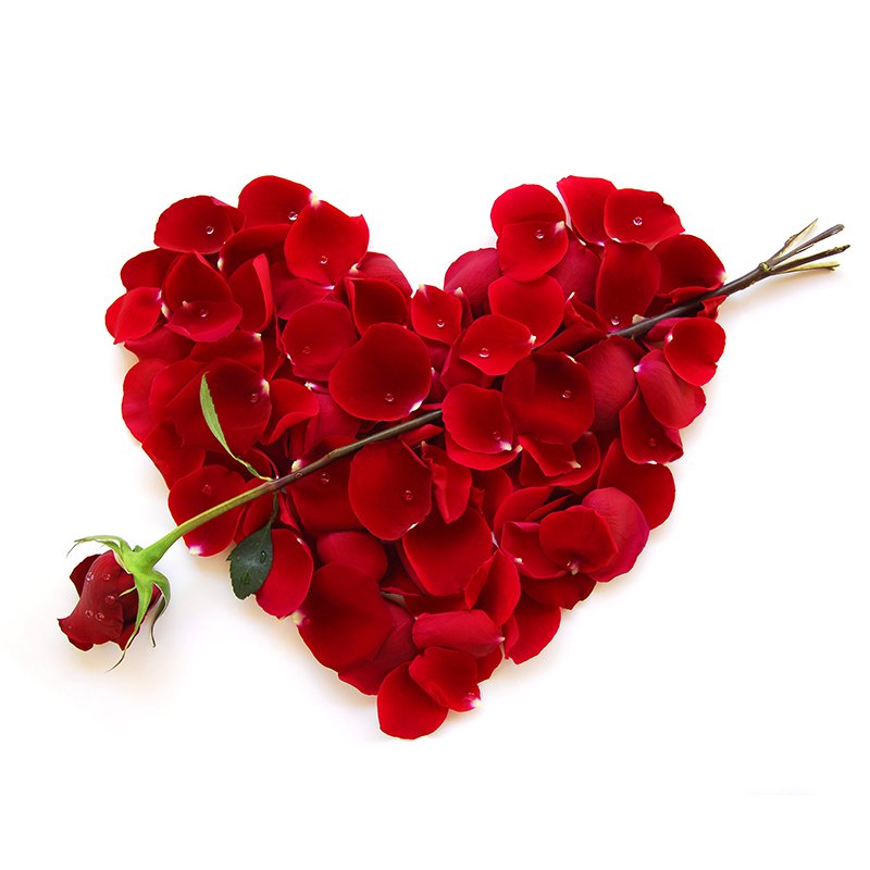 MGH_8's tweet photo. Happy Valentine's Day!
xoxoxoxoxoxoxo
#ValentinesDay #HappyValentinesDay #Love https://t.co/XhyFlWbgw8