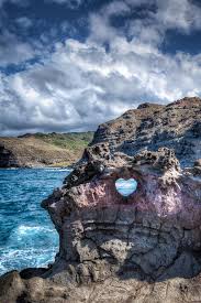 RaghuveeSayyam's tweet photo. #happyvalentinesday #LoveisNature #NatureisGod #LiveandletLive ..... https://t.co/8QQQxlJuQv