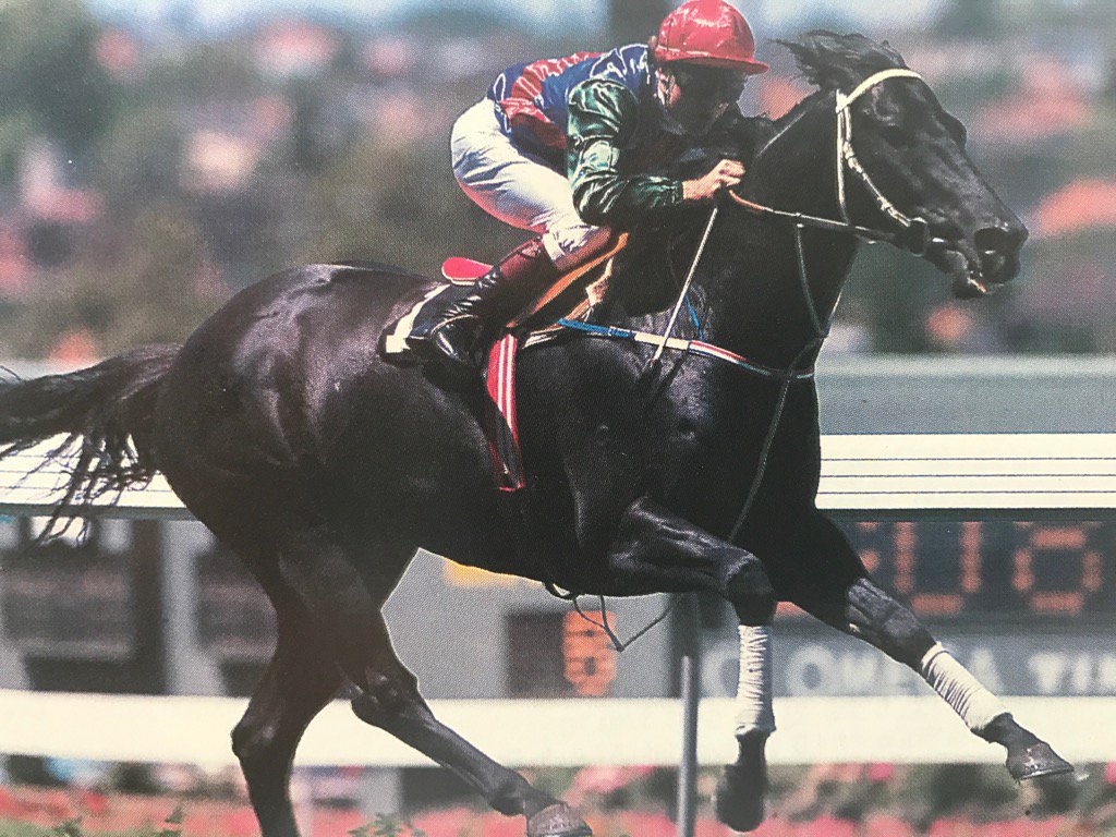 bmracingclub's tweet photo. River Rough, M.Clarke brilliant winner of Lightning Stakes 1985 @ 4/6 beat High Signal a half head #lightningstakes https://t.co/nfPddJSaRE