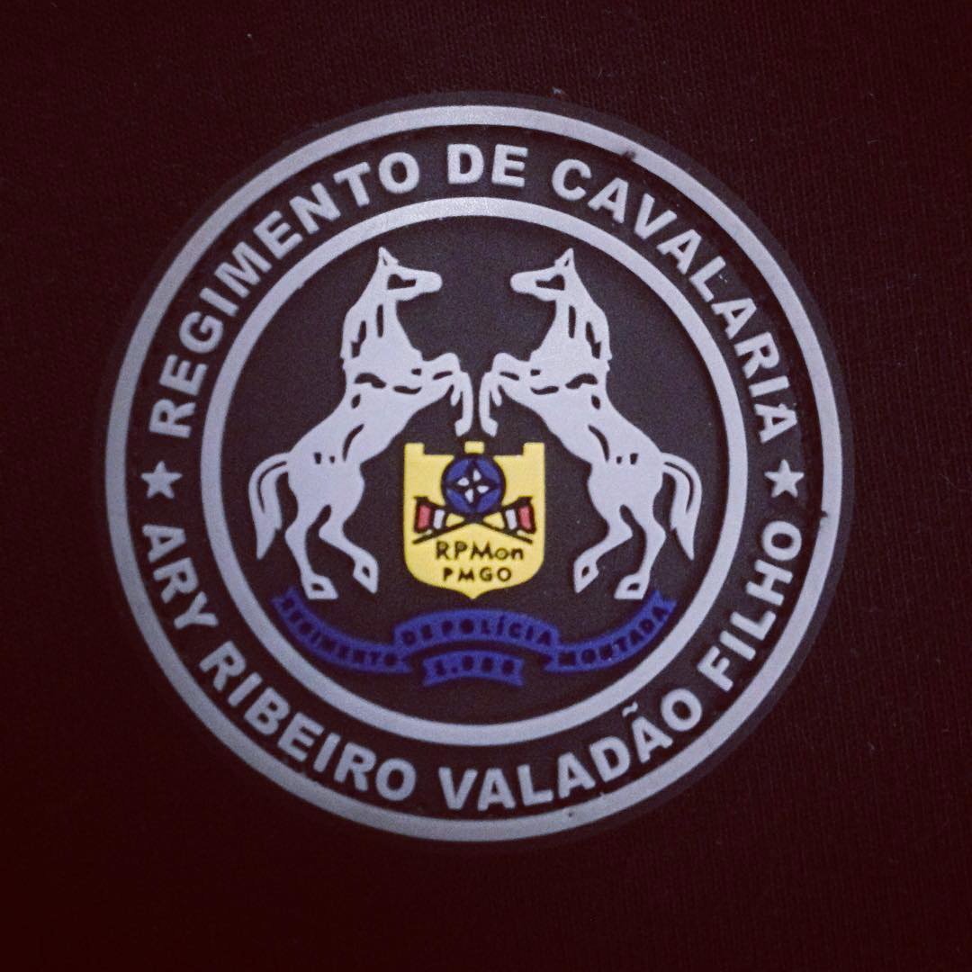 CavalariaPmgo's tweet photo. https://t.co/PeZoYk8d4g