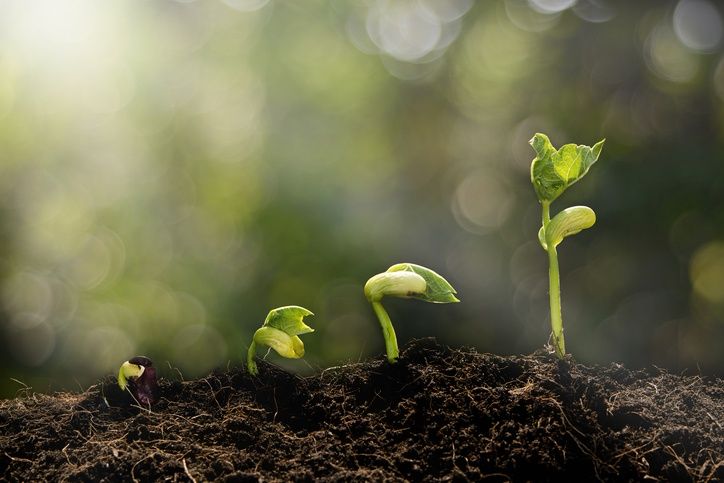 wearerocketism's tweet photo. Find out how to turn your qualified leads into a sale - https://t.co/6RLJ5RCPew https://t.co/kcHJmB61gD