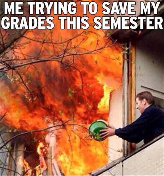 Mjsorrels's tweet image. #LaughAnyway