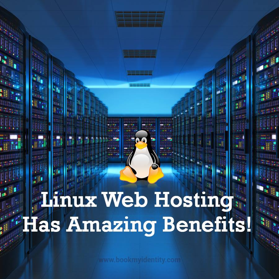 bookmyidentity's tweet image. #LinuxHosting Is Laced With Advantages; Here's How! goo.gl/YBcMWk
#linuxwebhosting #linuxsharedhosting #SharedHosting #Webhosting