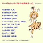 ダーウィンが来た公式 け フレ難民への緊急支援策としてサーバル回を再放送します ファンも公式も歓喜 けものフレンズ Togetter