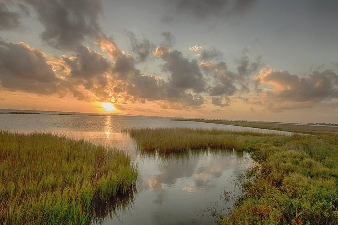 FrankKenny's tweet photo. This is from when we were on the Gulf Coast. Do you prefer sunsets or sunrises?
#FJKonthemove #WorkingFromTheRoad https://t.co/LZzAFljLhK https://t.co/xYV2Yi0K7P