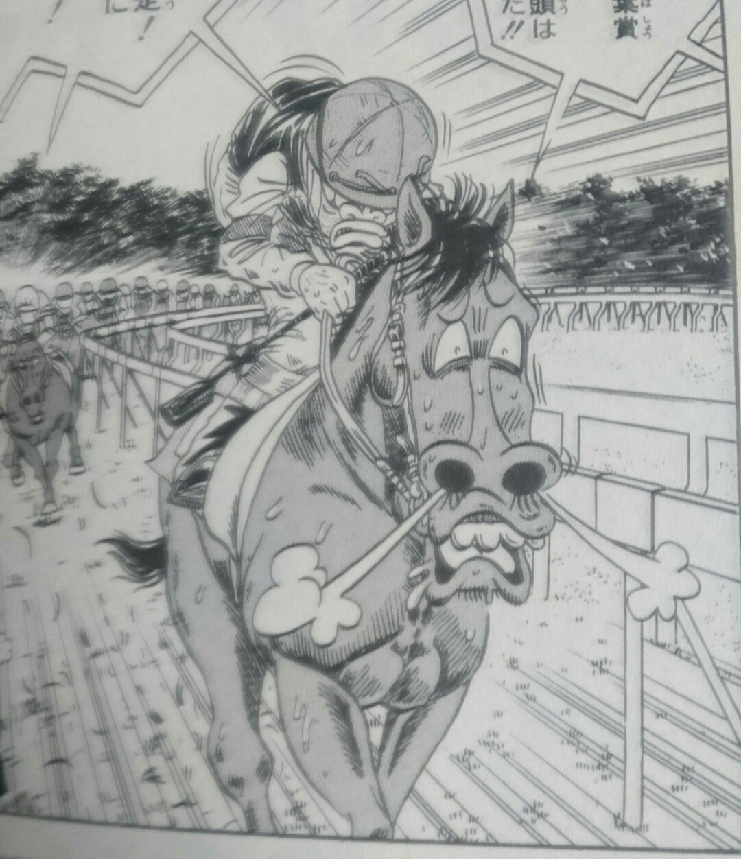 Takaho です サラブレッドの成長力ってこわいよね 春先条件戦走ってた馬が秋にはg1勝って最強馬になったり時にはアマゾンの伝説になったりするからね ベアナックル バーナコー みどりのマキバオー たいようのマキバオー あれは馬じゃねえ