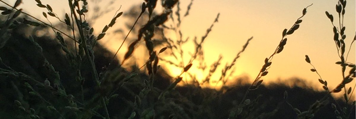 BoxJodybox's tweet image. #NewProfilePic