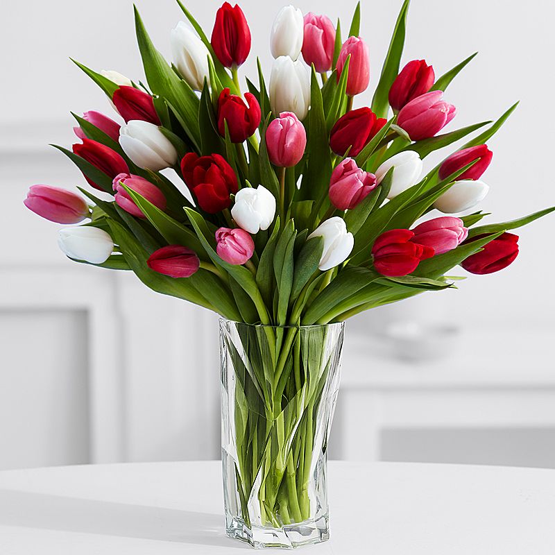 I love you, <a href="/JamieWilsonMD/">James Wilson-Pryce</a>. Happy Valentine's Day.