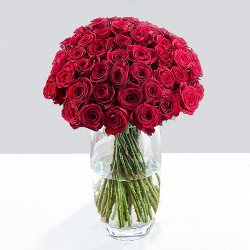 He quickly kisses @NotSoArchaic's cheek. "Happy Valentine's Day, you old pile of shit."