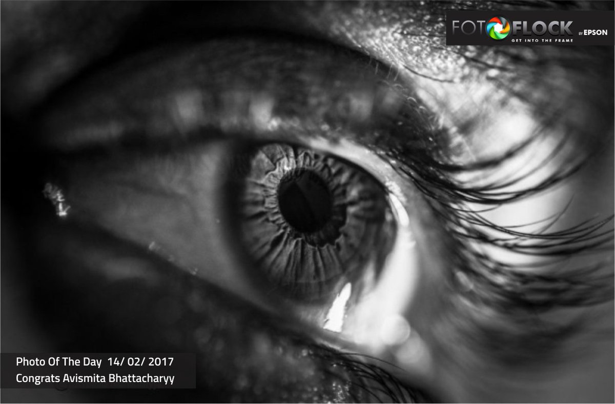 Fotoflock by Epson tweet media