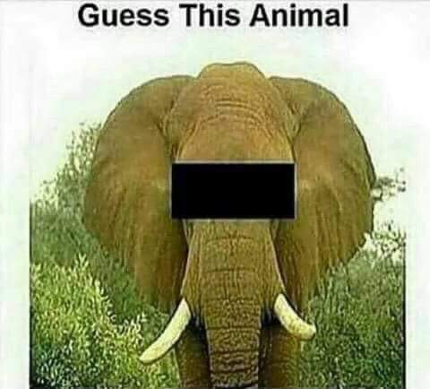 NomadicYou's tweet photo. Only a #digitalnomad that has been to Africa/Asia will get this right... https://t.co/6mtoqjqdRG