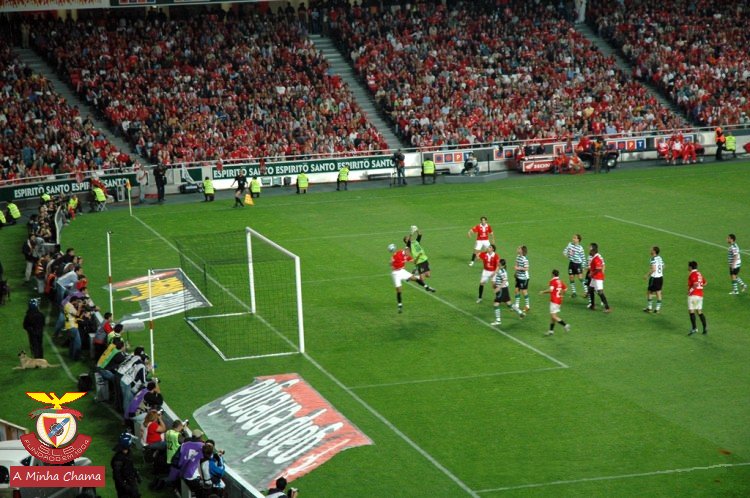 pmrgouveia's tweet image. #vigarice