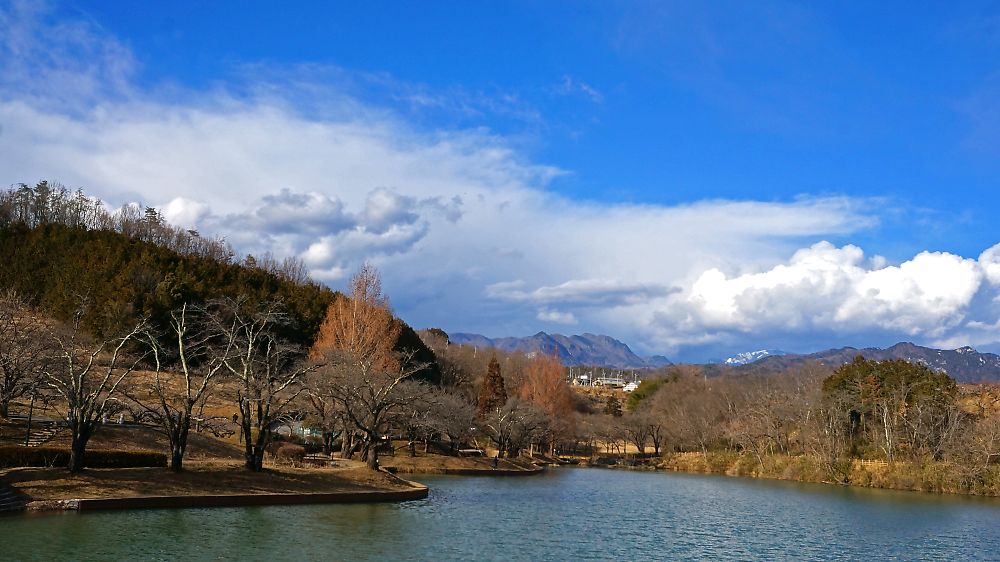 soars95's tweet photo. 午前中の冬晴も崩れ
盆地周辺の山々に
雲がかかり始めた
多分
天気の崩れる前兆かも
午後3時
買い物帰りに
山の中の小さな湖に
立ち寄ってみた
保育園の子供たちの
お散歩か甲高いこえが響き
湖は一時だが
春の様相を呈し
嬉しい限りだ https://t.co/38c6NeYGVs