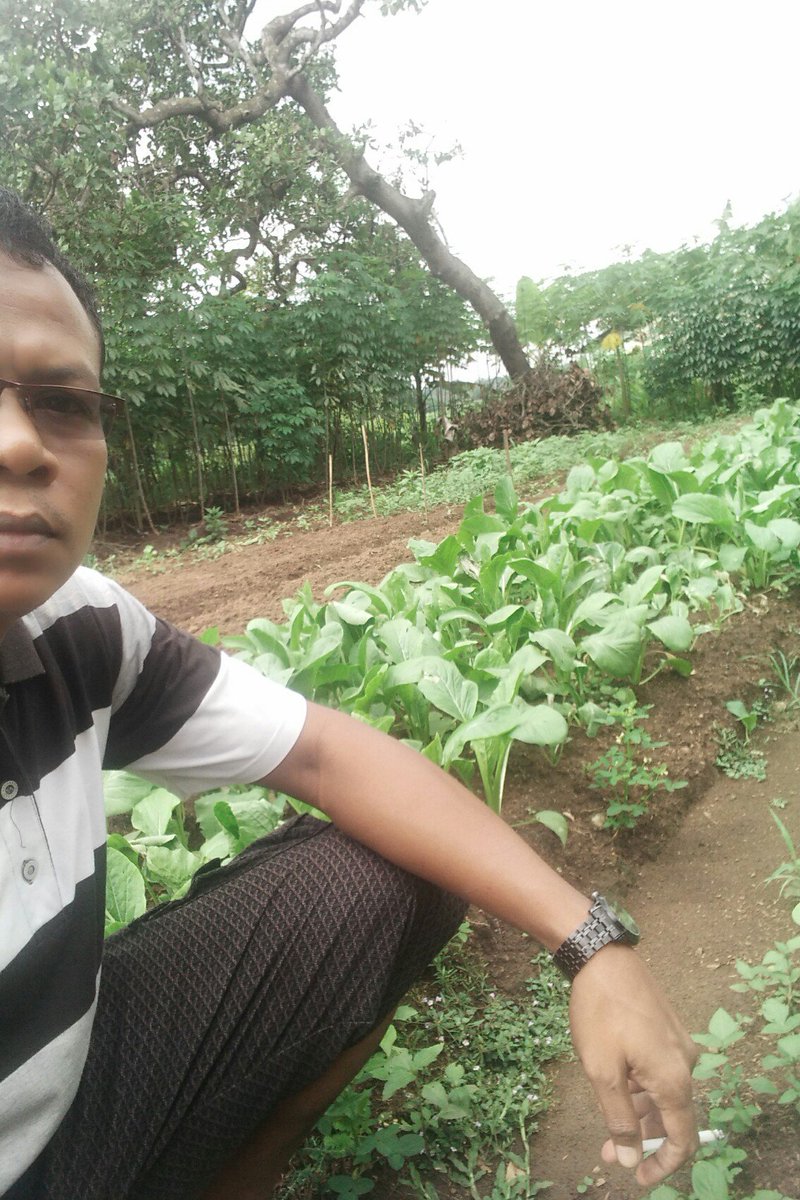 gantijateng's tweet photo. Mari Manfatkan lahan kita. Jangan malu jadi petani,  yg penting hasilnya, biar sedikit tapi rutin. 
#sayapetani
#taruman #klambu #purwodadi https://t.co/5yKYYv15Cg