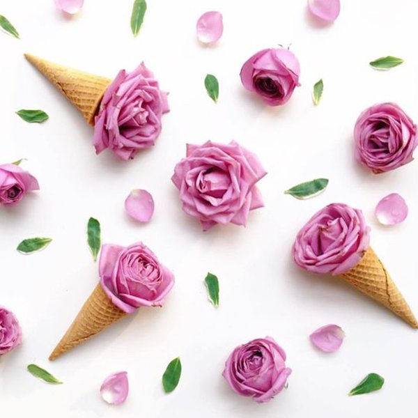characterwiseuk's tweet photo. Happy #Valentines! x
#Characterwise https://t.co/KupGYIhkje