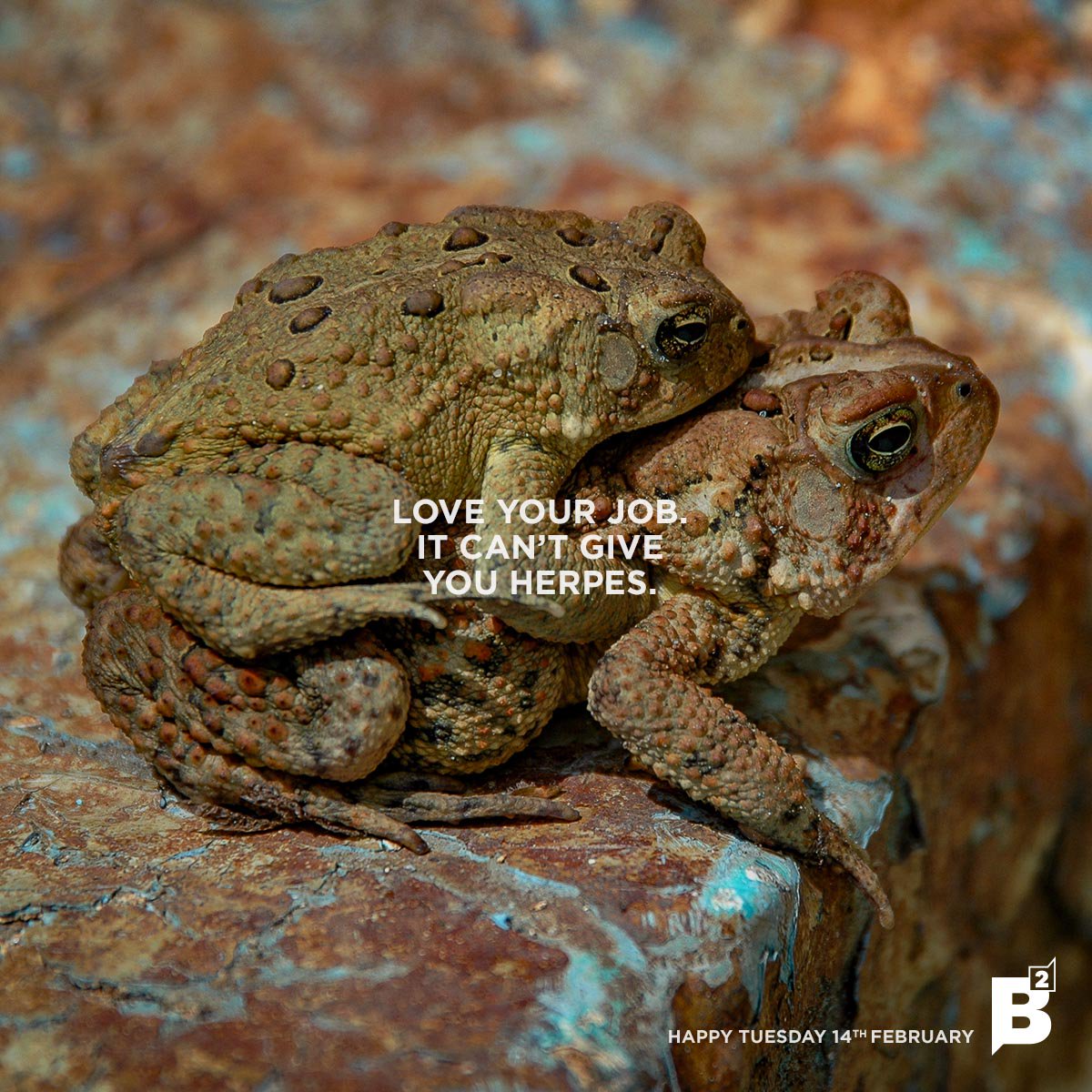 BaseTwoAgency's tweet image. Yes, it will hurt sometimes. Yes, it will cause sleepless nights and stress hives. Forget people, love your job this #Valentinesday2017