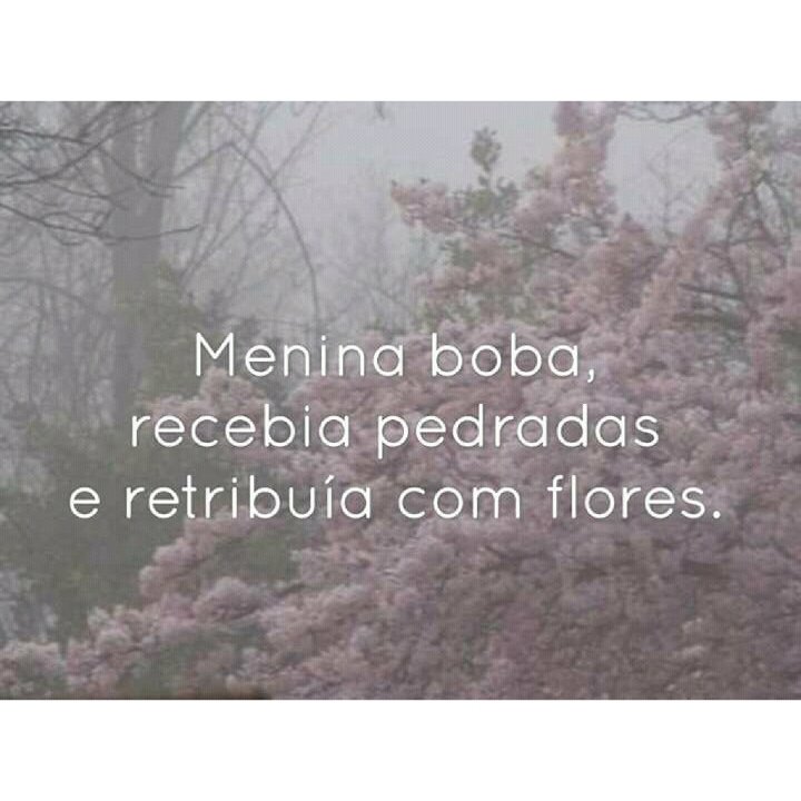 MeninaDeAlmaDoce tweet media