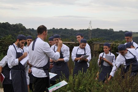 Lo chef del futuro? Vegetariano e salutista. Il primo corso professionale sbarca in Italia cronachedigusto.it/archiviodal-05…