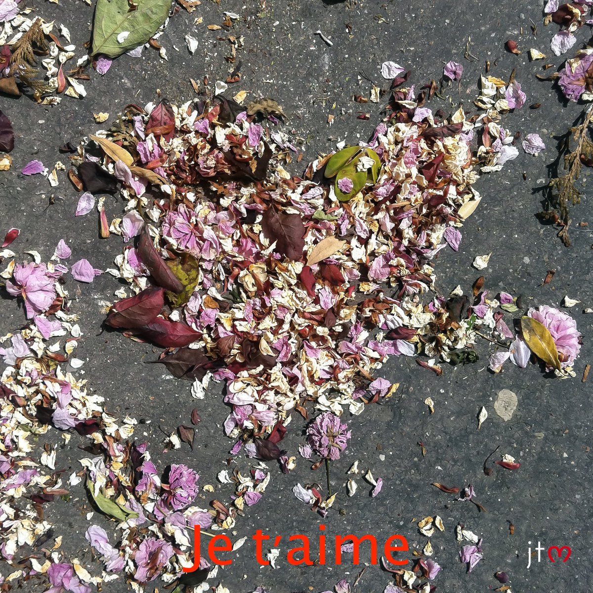 {La plus belle histoire d'amour - Jour 14} : "Je t'aime"
#saintvalentin #chasseursdecoeurs #coeur bit.ly/2k3K3LA