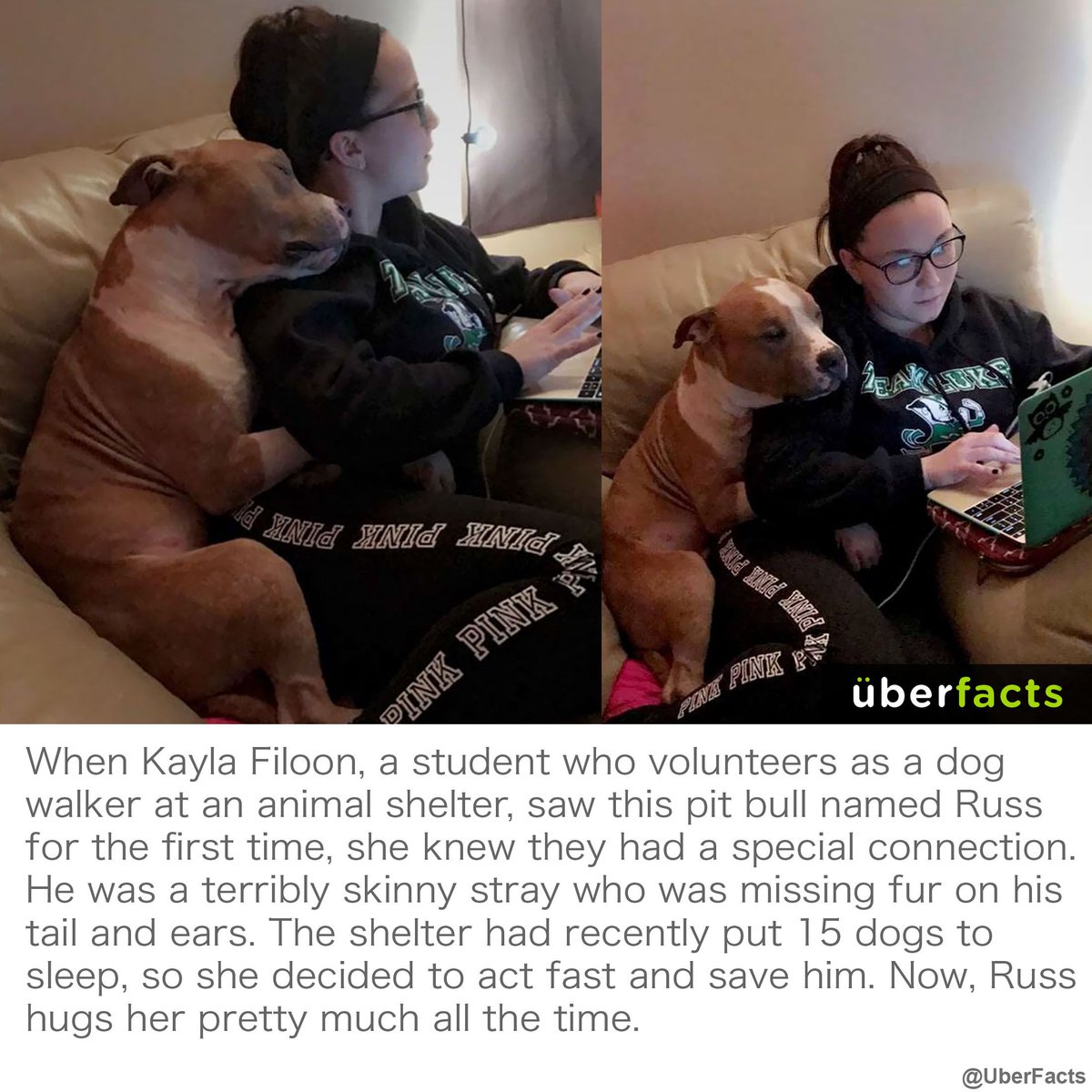 Meet Kayla and her dog, Russ.