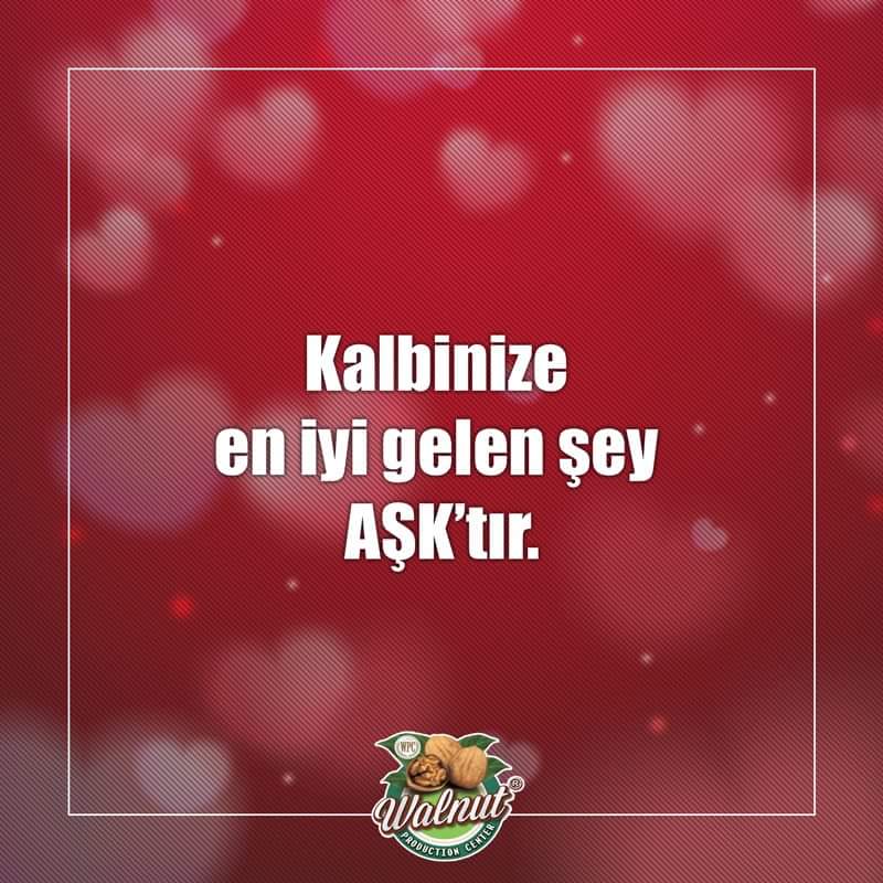 Walnutcomtr's tweet photo. #sevgililergünü #valentinesday #aşk #love #walnutwpc #ceviz https://t.co/cCNqsp28jh