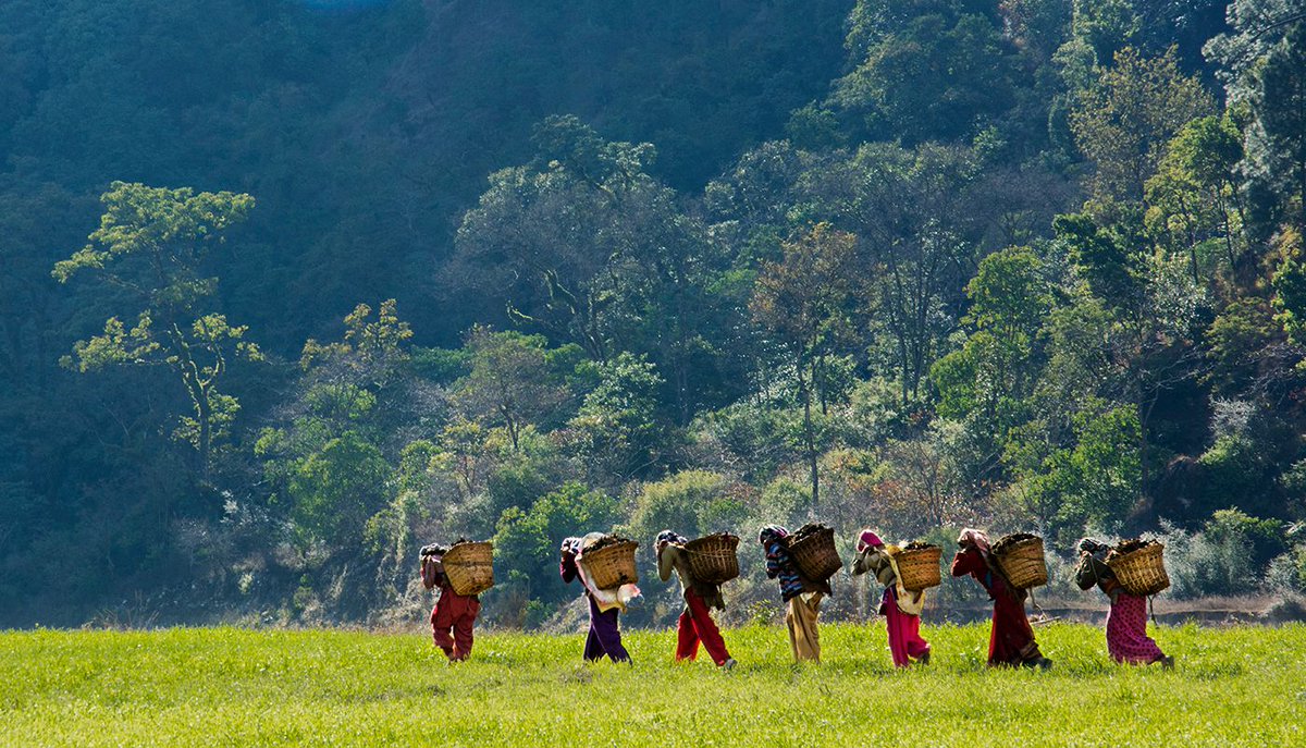 AdventureNcom's tweet image. #PhotooftheDay

A fabulous click shared by Satpal Singh of women carrying baskets. Use hashtag #CaptureAdventure &amp;amp; share your clicks with us