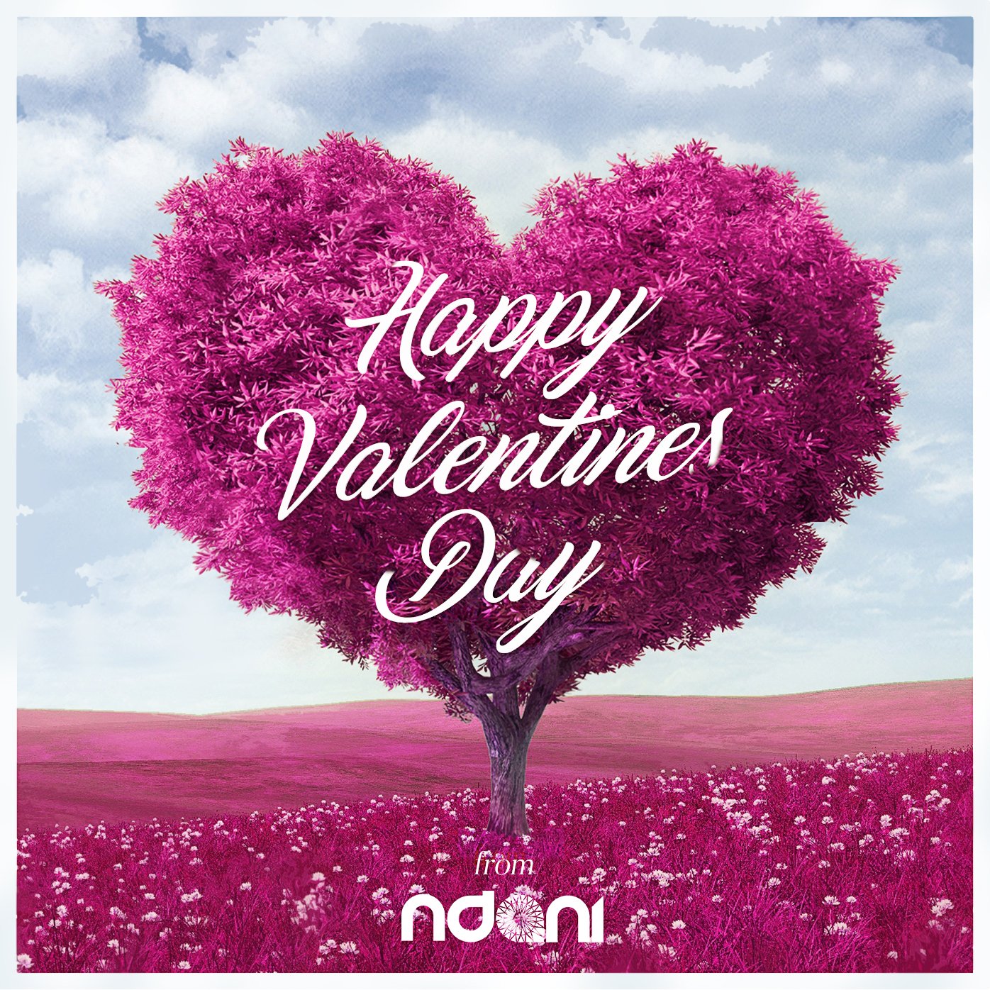 NdaniTV on X Happy Valentine s Day everyone What would you like as a gift for Valentines https t PZ29YRzSzM X