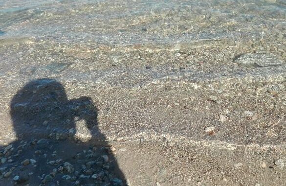 " أطول مسافة بين مكانين في هذا العالم هي المسافة الممتدة بين كلمات الانسان و نيته."🖇

تصويري📷