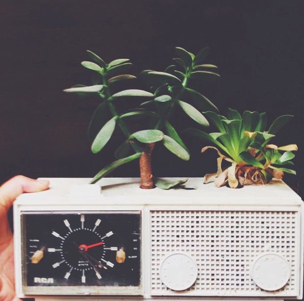 We love these upcycled techno gadgets with plants growing out of them via thejungalow.com 🌱🌿#ewaste #upcycle