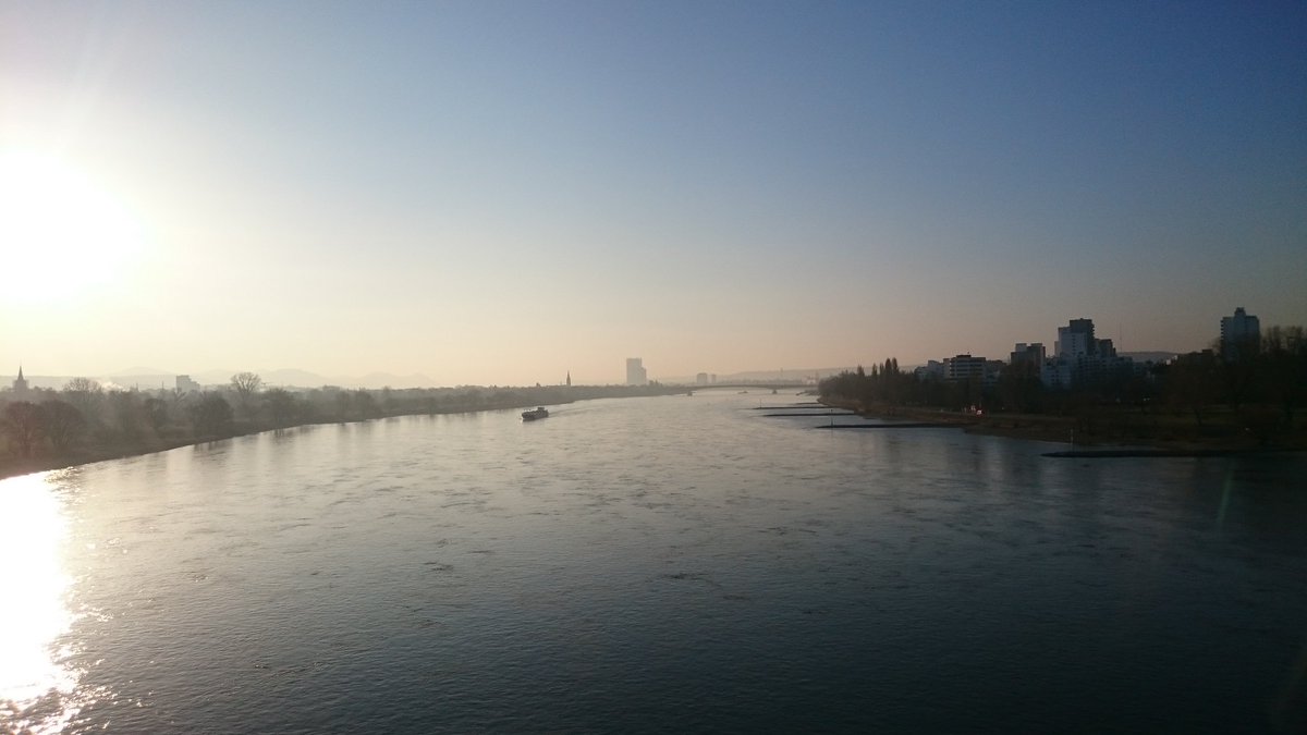 dschoermanizer's tweet image. #Bonn, Du bist der wahre Schatz vom Rhein! #Nordbrücke #GutenMorgen #Radfahren