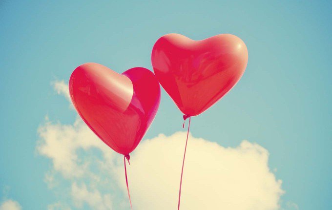 Gebr_Meijer's tweet photo. Valentijnsdag! Vergeet niet om je dierbaren een beetje extra aandacht te geven vandaag! https://t.co/TqUPkcAhzZ