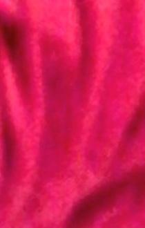 GlobalDoves's tweet image. Choose Love!
Be Love!