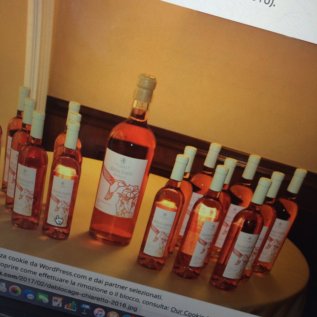 Arianna Vianelli tweet media