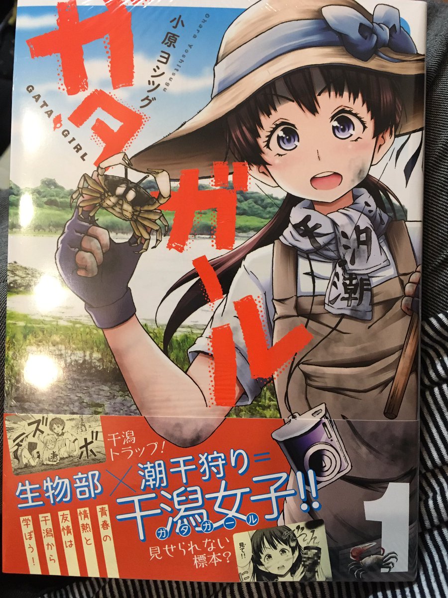 あの干潟漫画の名前を僕達はずっと忘れない 第一次ガタガール保全運動まとめ 3ページ目 Togetter